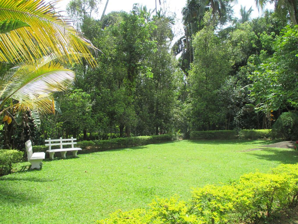 Alfred Colonial Bungalow & Spice Garden Kobbekaduwa 部屋 写真