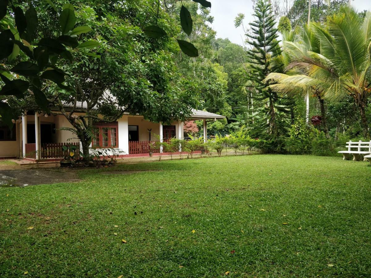 Alfred Colonial Bungalow & Spice Garden Kobbekaduwa エクステリア 写真